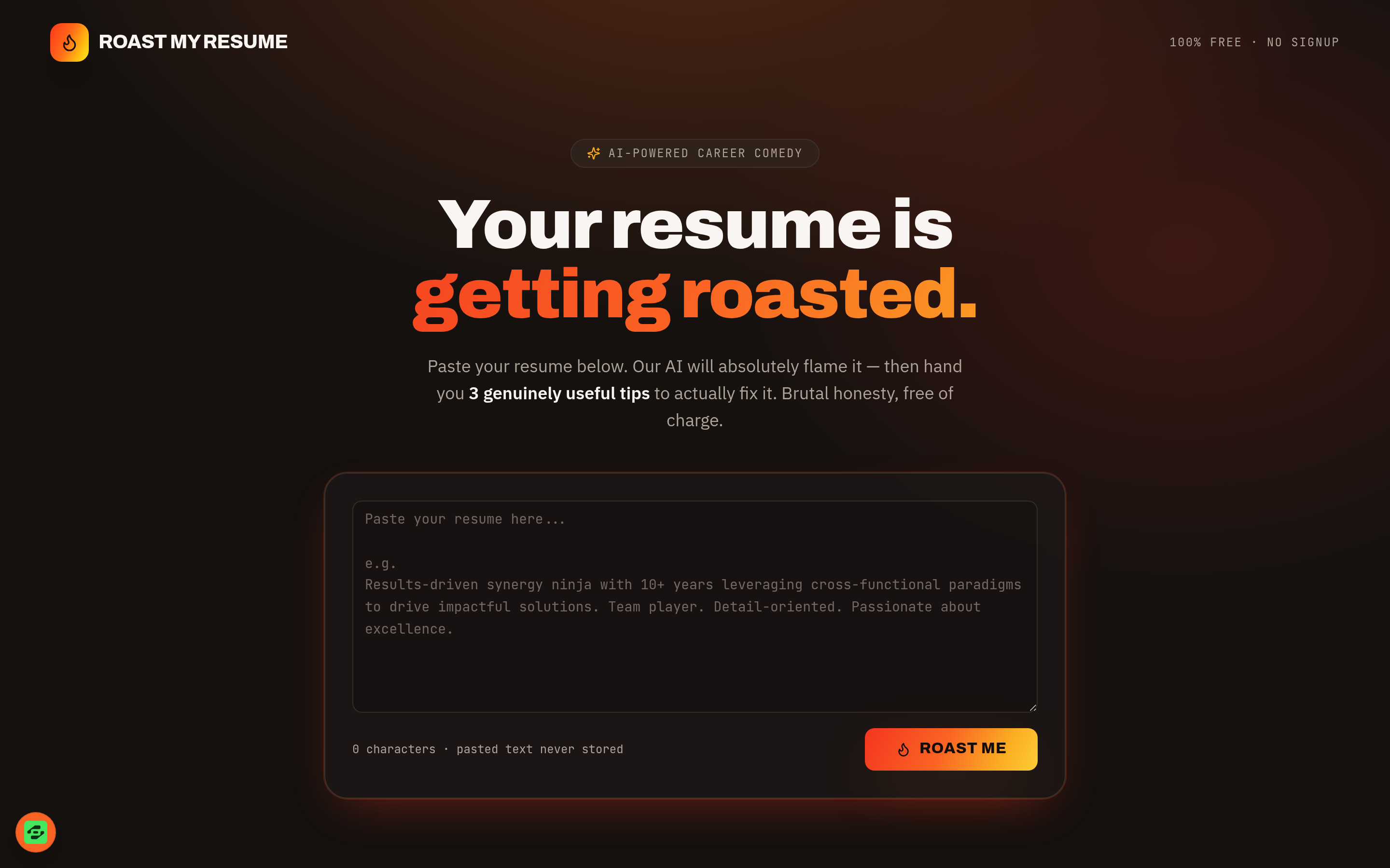 Roast My Resume preview