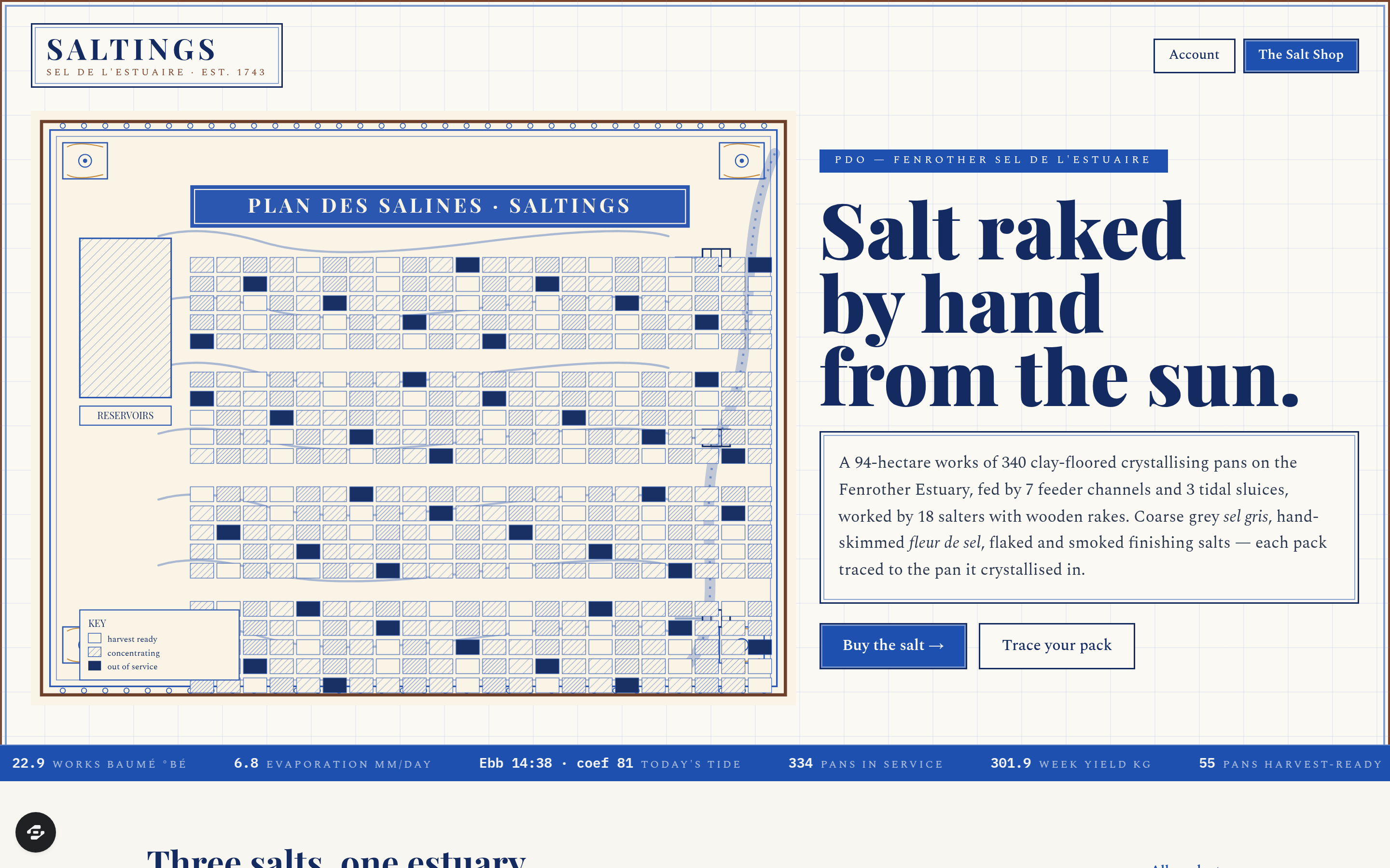 Saltings preview