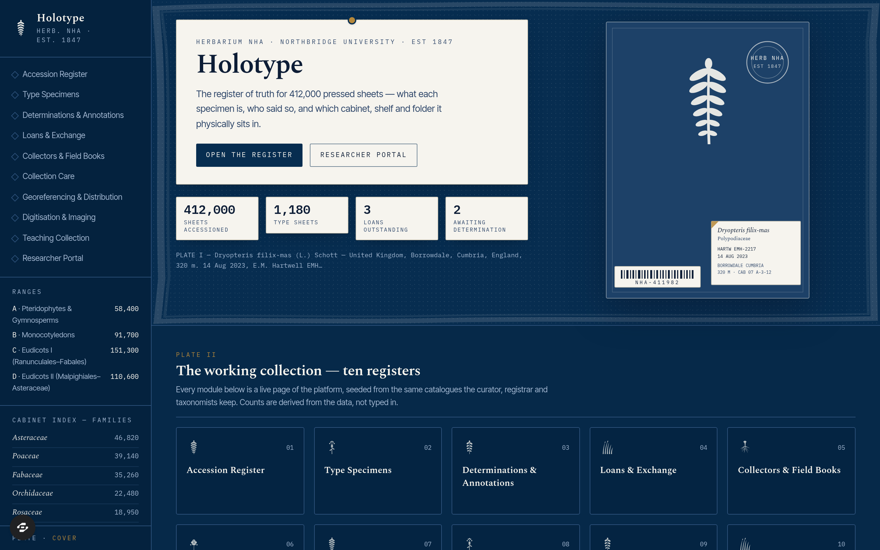 Holotype preview