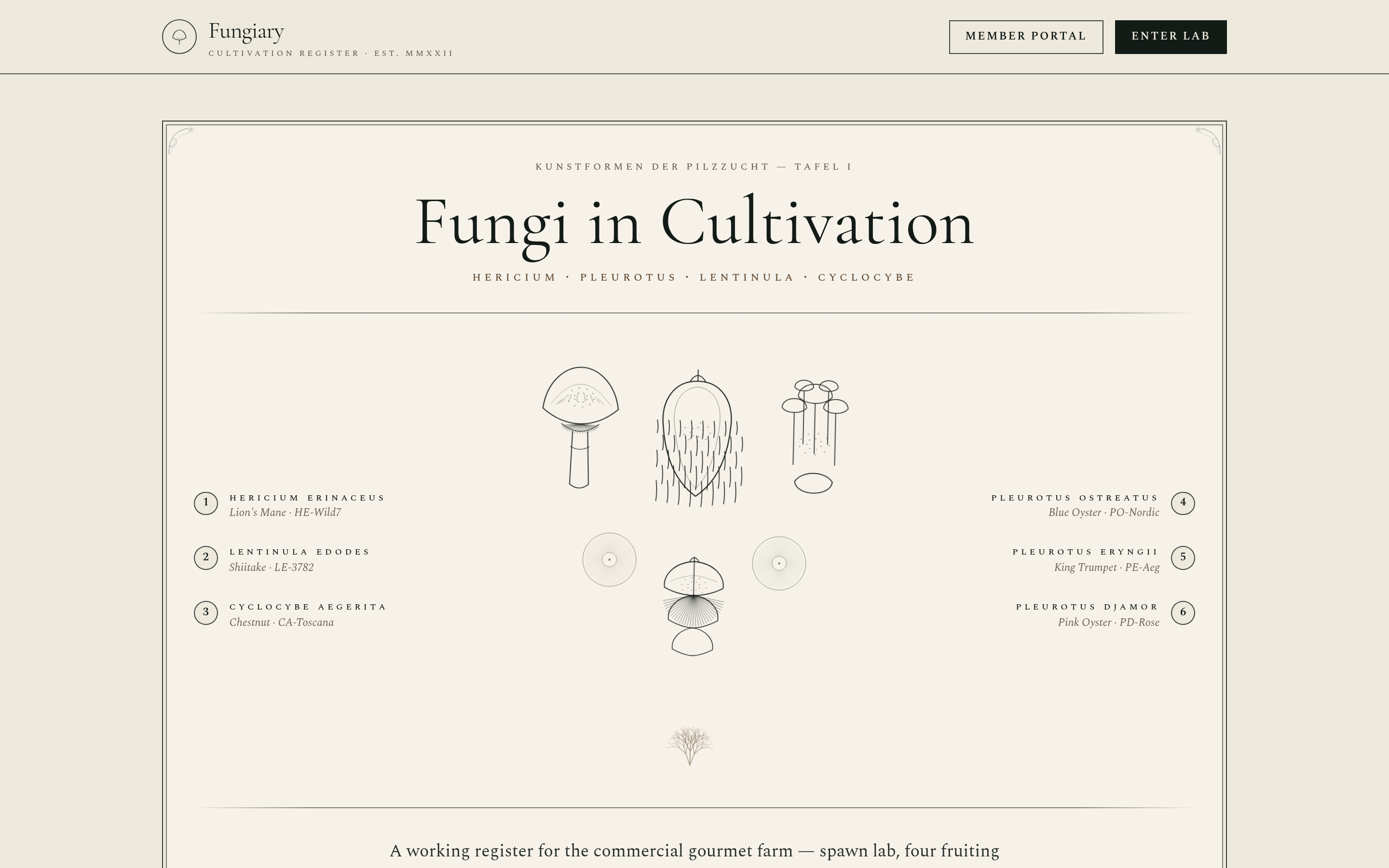 Fungiary preview